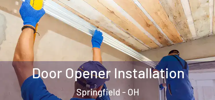  Door Opener Installation Springfield - OH