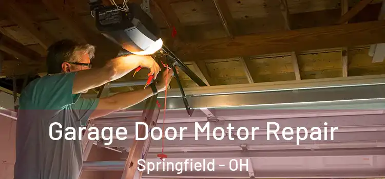  Garage Door Motor Repair Springfield - OH