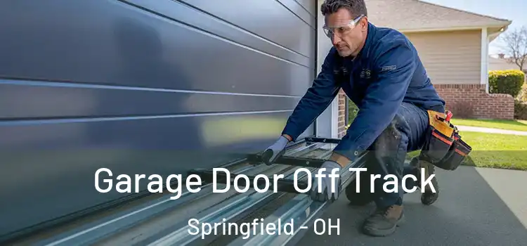  Garage Door Off Track Springfield - OH