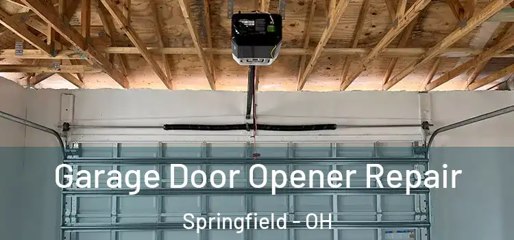  Garage Door Opener Repair Springfield - OH